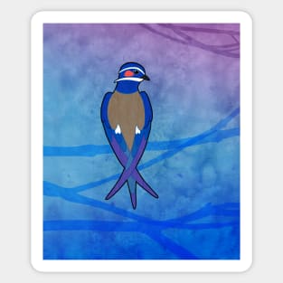 Whiskered Treeswift (Hemiprocne comata) Sticker